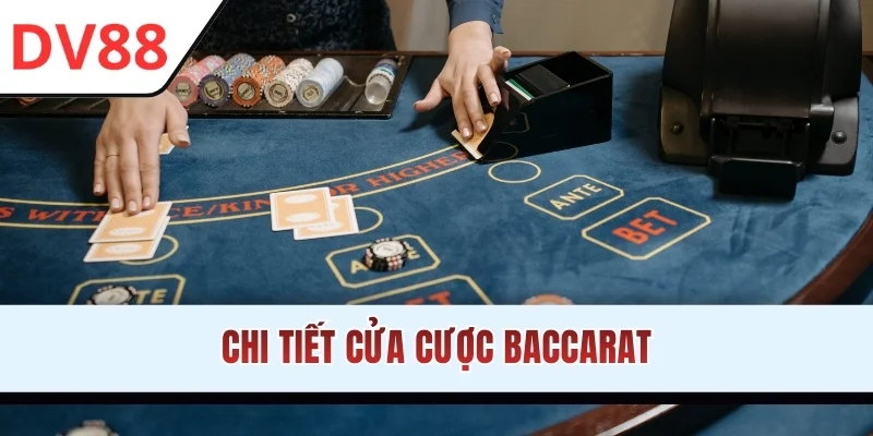 Chi tiết cửa cược Baccarat