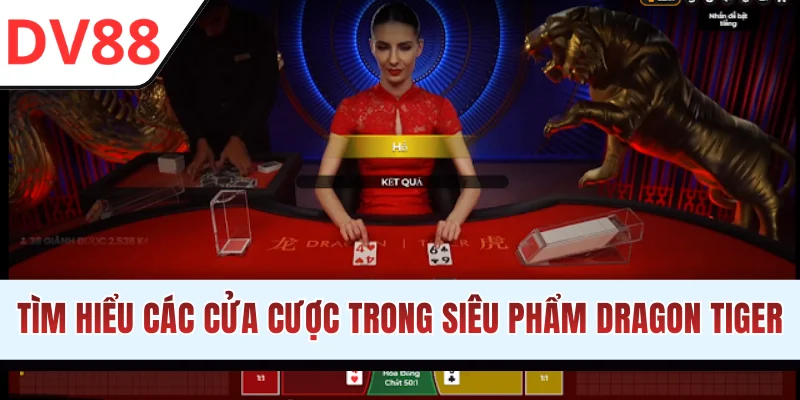 Tìm hiểu các cửa cược trong siêu phẩm Dragon Tiger